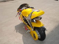 Minibike, Pocketbike